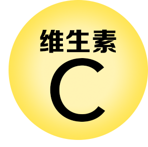 TOE-SEC02-icon 01.png