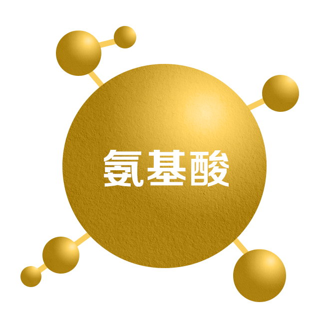TOE-SEC06-icon 07=.png