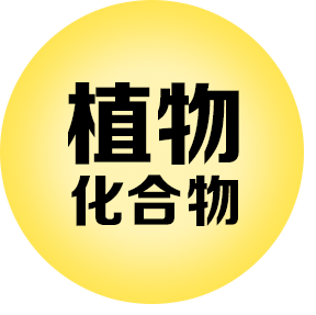 TOE-SEC02-icon 04.png