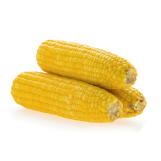 TOE-SEC05-Pic 06.png