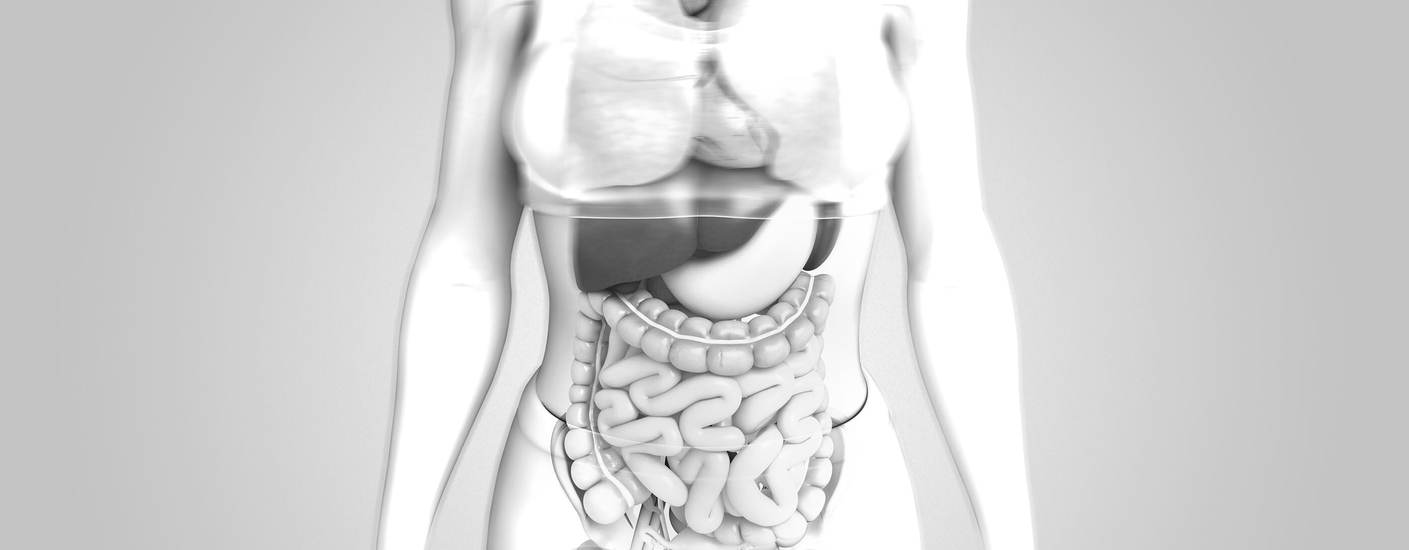 TOE-SEC03-Bc 02=.jpg