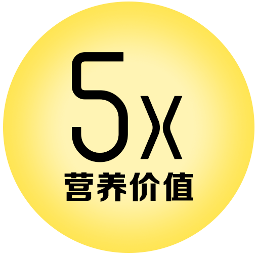 TOE-SEC02-icon 05=.png