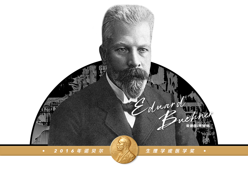 TOE-nobel-03.png