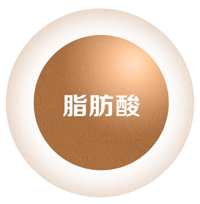 TOE-SEC06-icon 05=.png