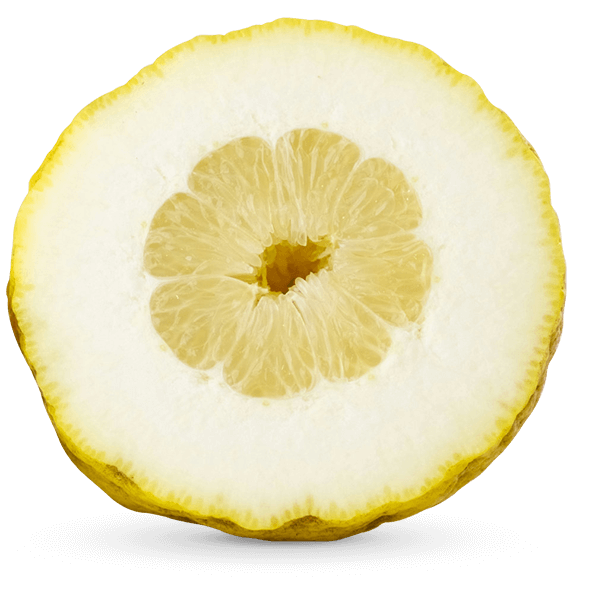 TOE-SEC02-Pic 01=.png