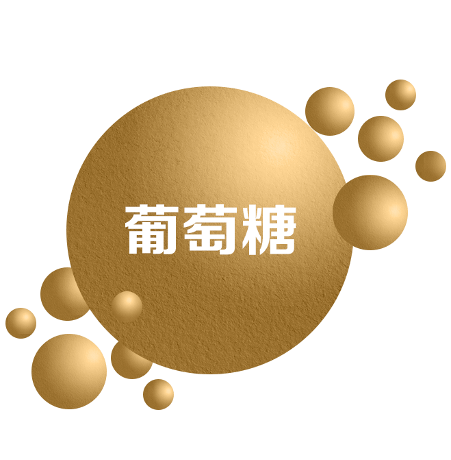TOE-SEC06-icon 06=.png